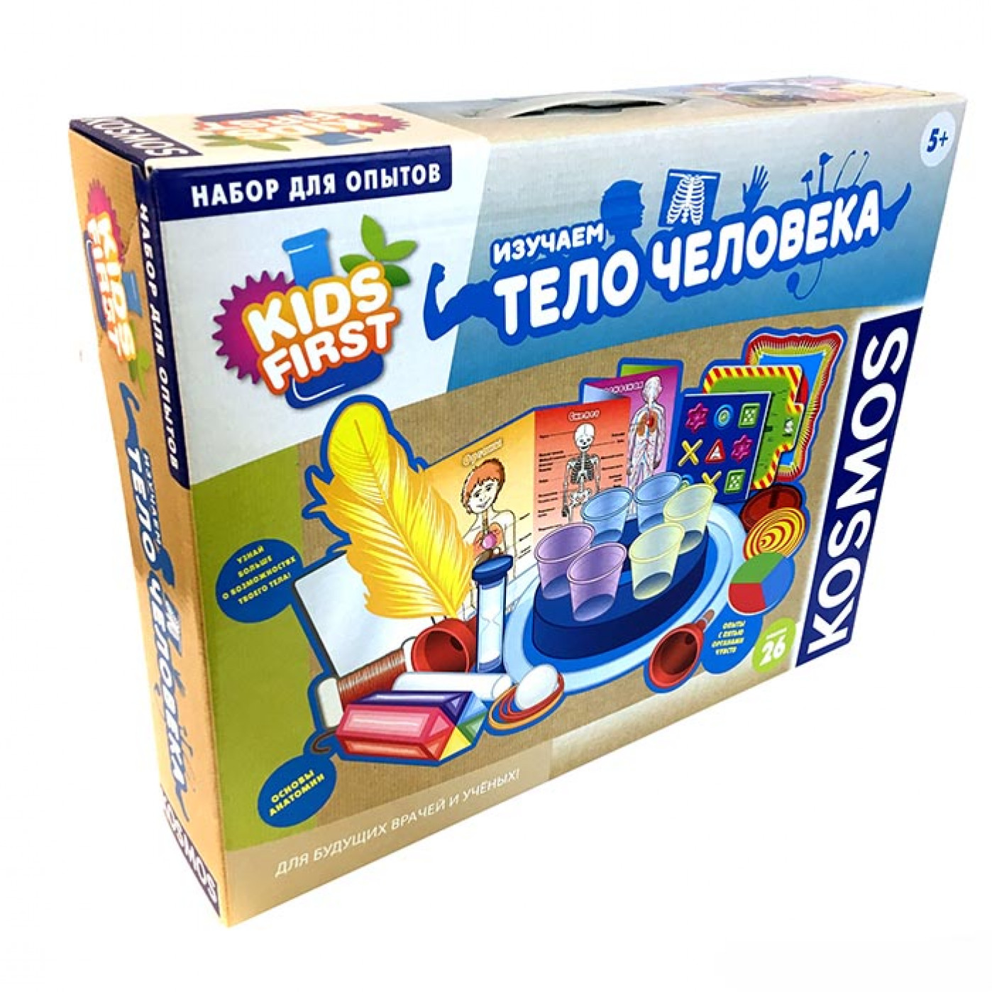 Игровой набор Изучаем тело человека Игровой набор Изучаем тело человека