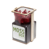 Интерьерный мох MossBox Fire red cube-2