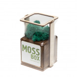 Интерьерный мох MossBox Fire moray