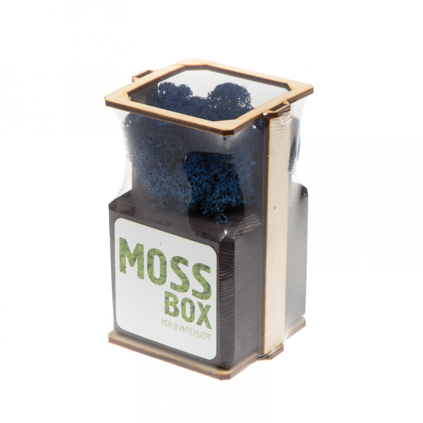 Интерьерный мох MossBox Fire Blue cube Интерьерный мох MossBox Fire Blue cube