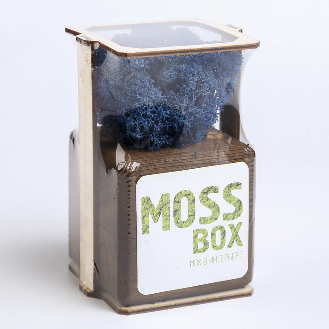 Интерьерный мох MossBox Fire Blue cube Интерьерный мох MossBox Fire Blue cube
