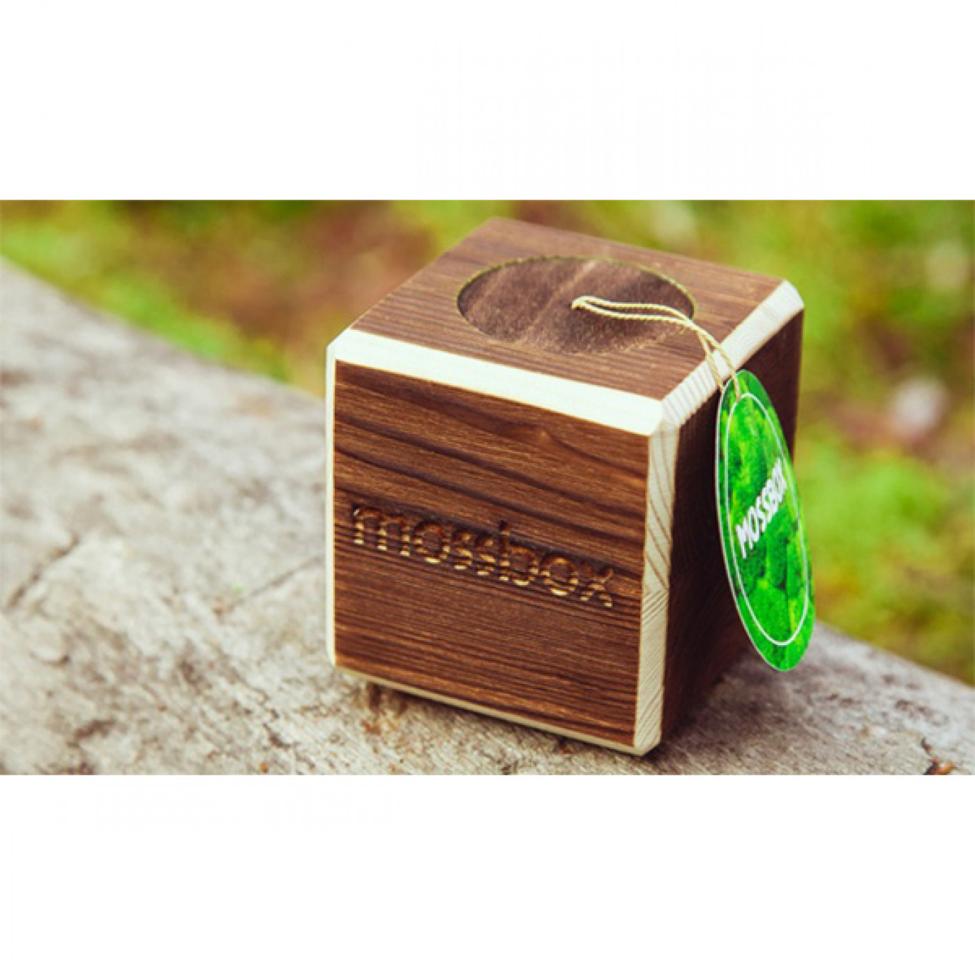 Интерьерный мох MossBox Fire Blue cube Интерьерный мох MossBox Fire Blue cube