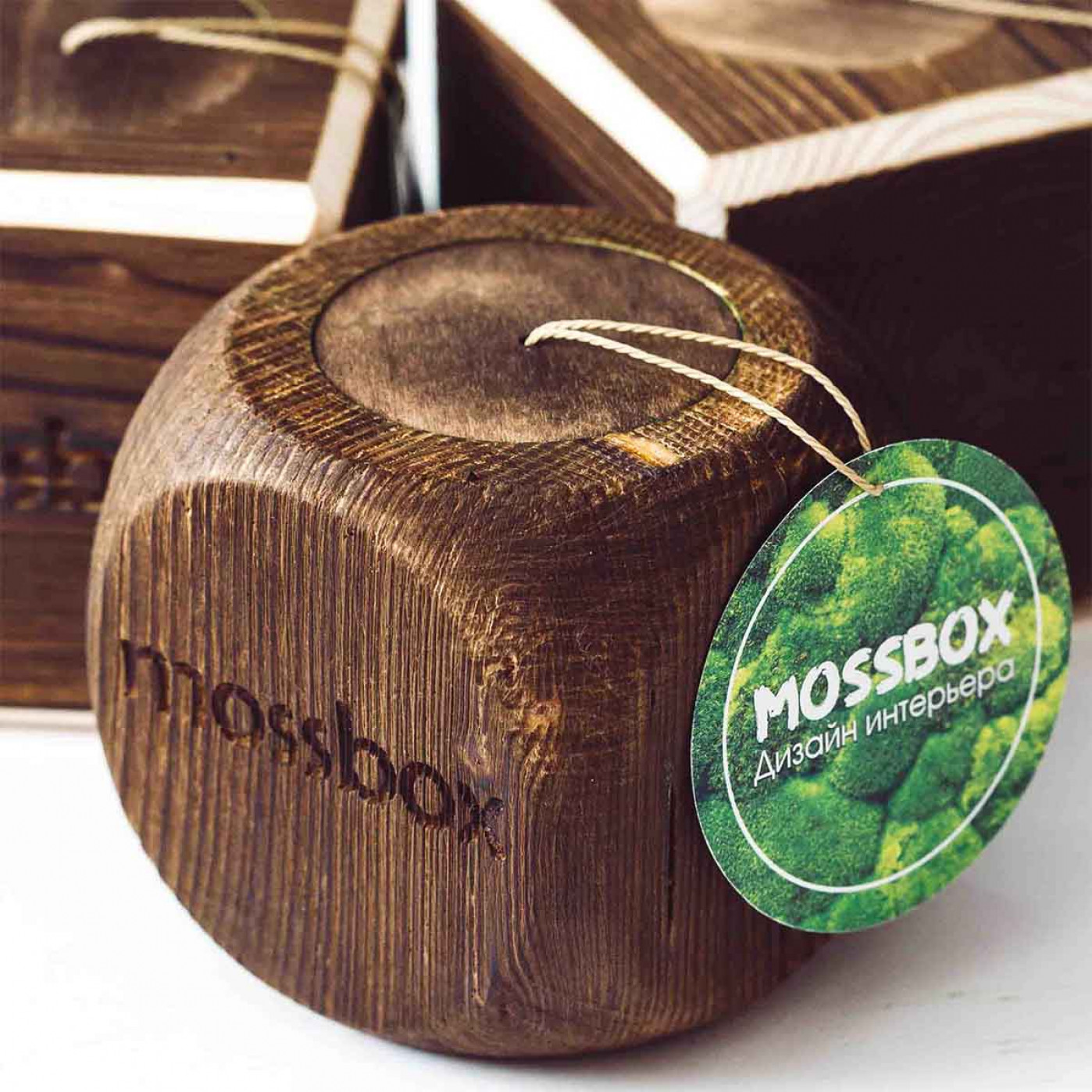 Интерьерный мох MossBox Fire Blue cube Интерьерный мох MossBox Fire Blue cube