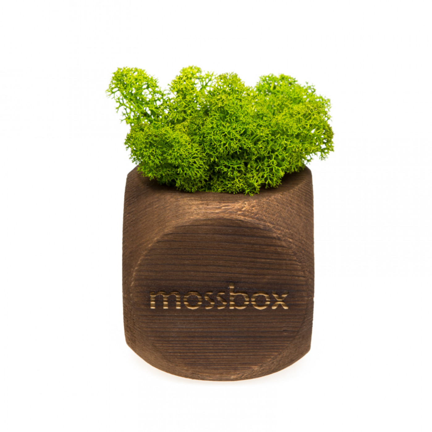 Интерьерный мох MossBox Fire green dice