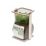 Интерьерный мох MossBox Fire green dice Интерьерный мох MossBox Fire green dice