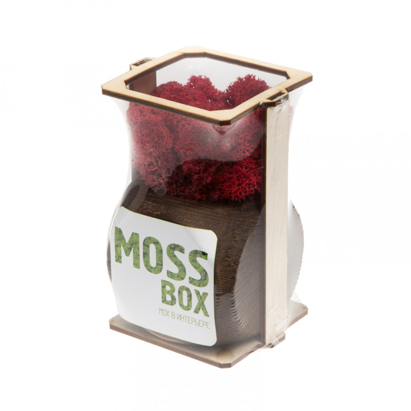 Интерьерный мох MossBox Fire red dice