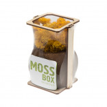 Интерьерный мох MossBox Fire yellow dice
