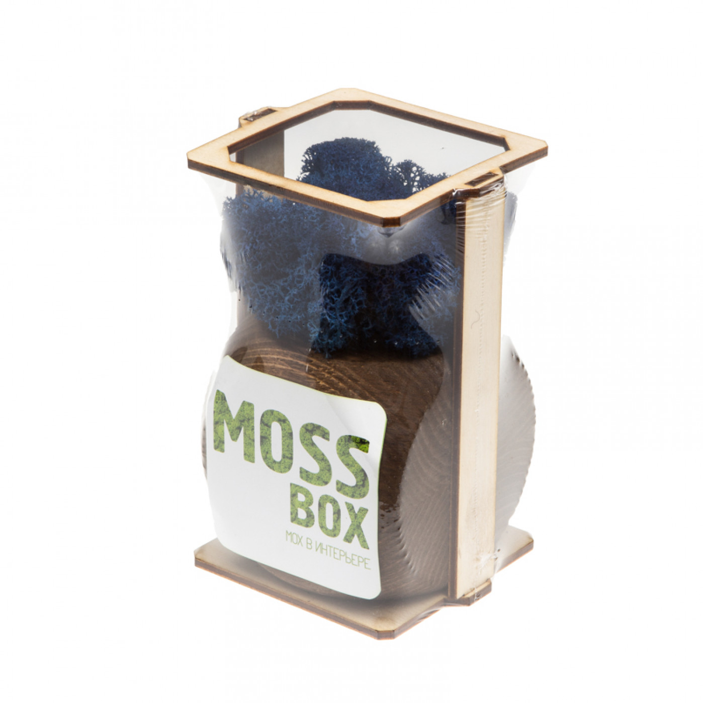 Интерьерный мох MossBox Fire blue dice Интерьерный мох MossBox Fire blue dice