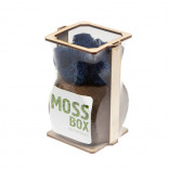 Интерьерный мох MossBox Fire blue dice