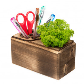 Органайзер Эко Офис fire green 160