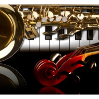 Подарочный сертификат на 3 занятия в музыкальной школе First Music Family