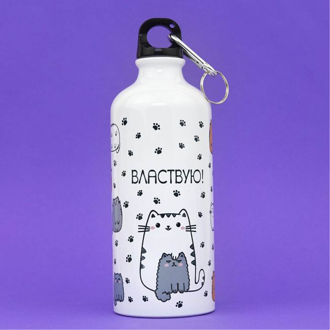 Металлическая бутылка с крышкой Властвую