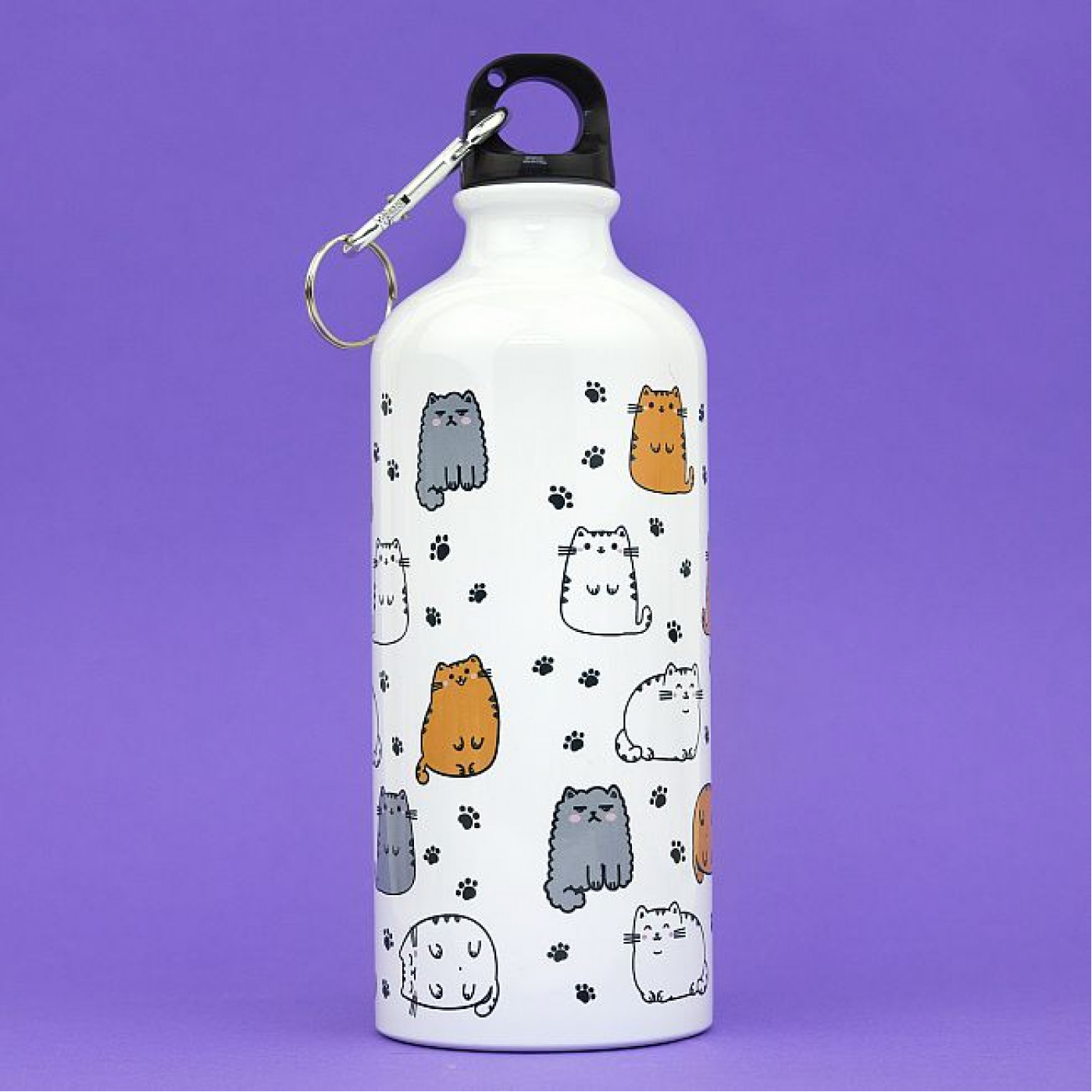 Металлическая бутылка с крышкой Властвую