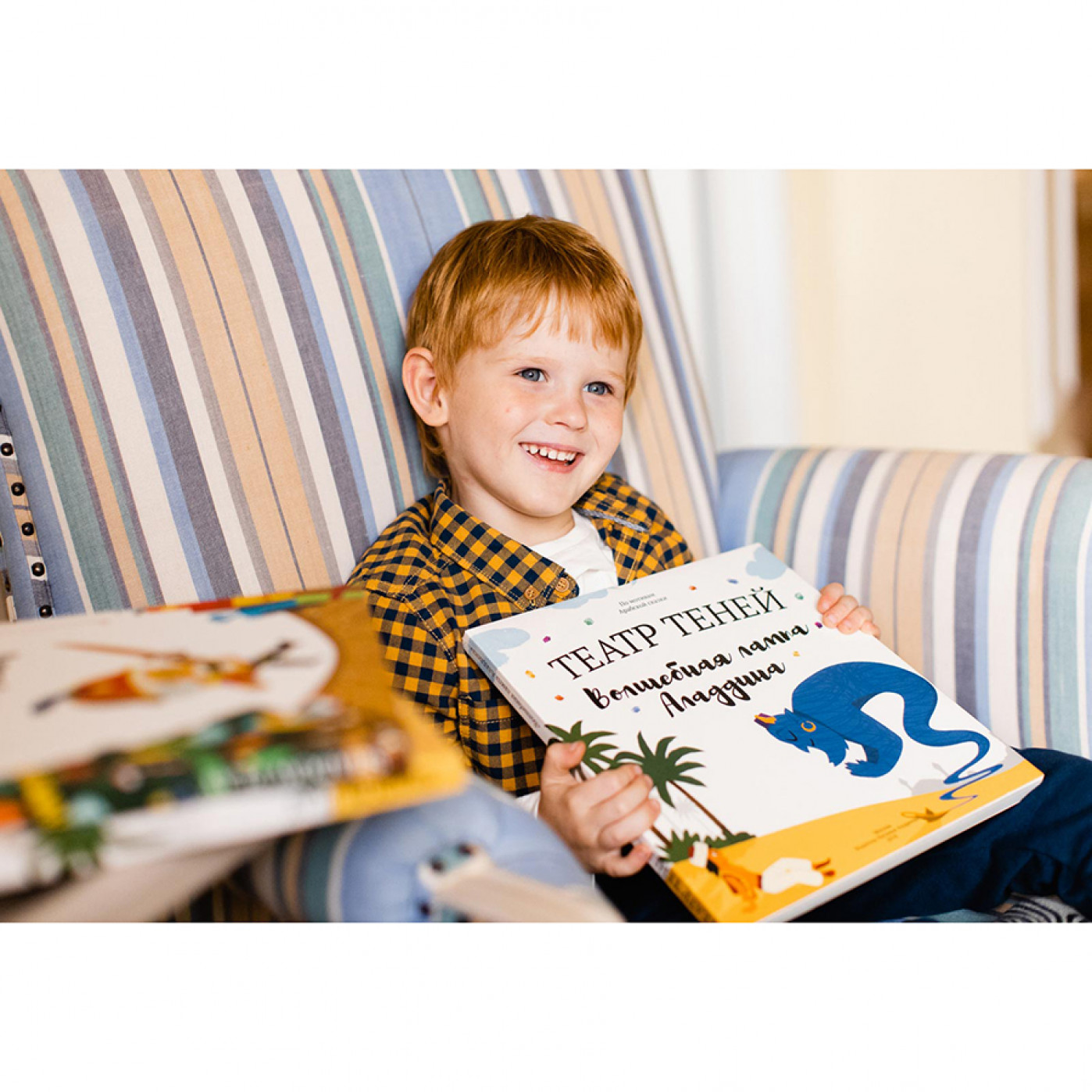 Книга Театр Теней Волшебная лампа Аладдина