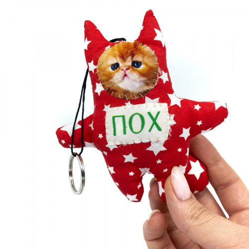 

Котик-брелок Пох
