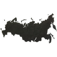 Реалистичный пазл карта России Wall Decoration с городами черный