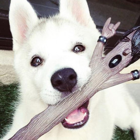 Игрушка для собак апортировочная Elwood-2 Игрушка для собак апортировочная Elwood-2