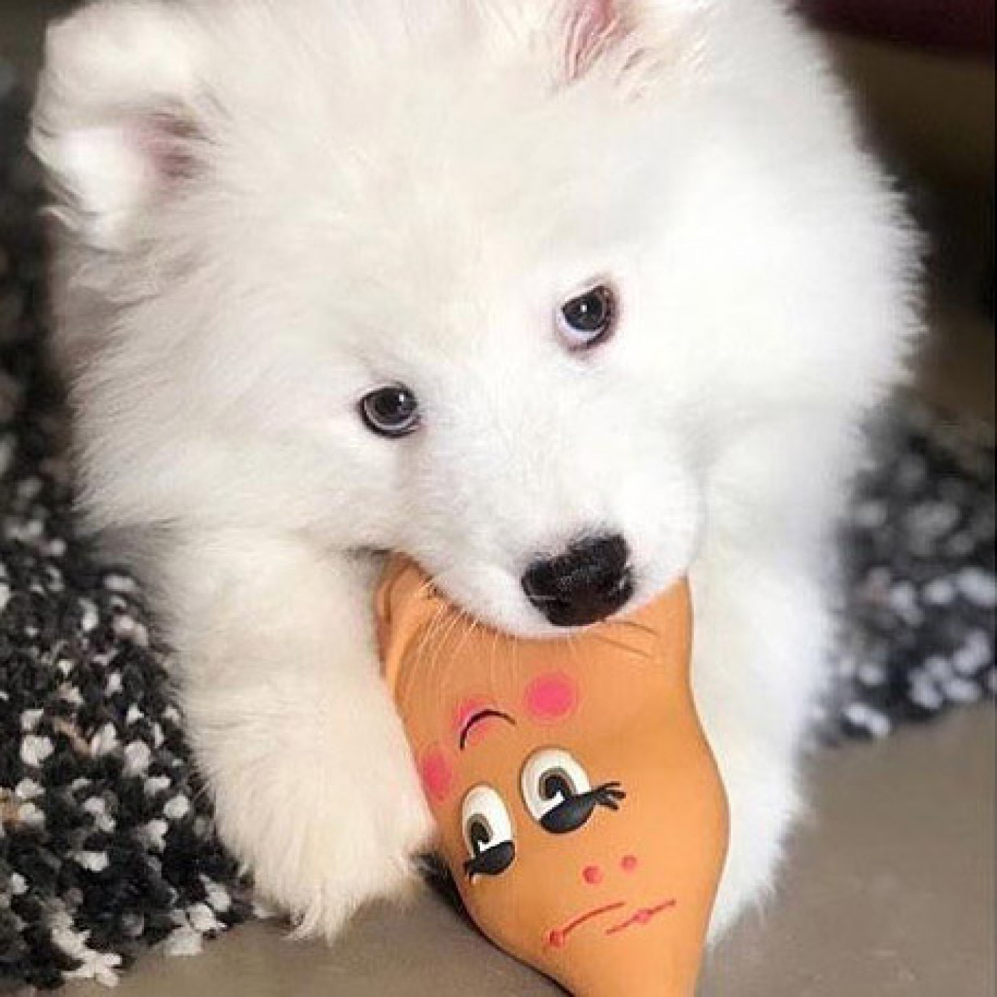 Игрушка для собак Сладкая картошечка