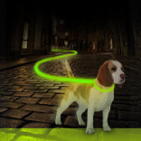 Светящийся ошейник для собак нейлоновый зеленый 45 см