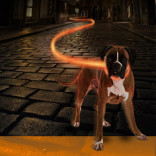 Светящийся ошейник для собак нейлоновый оранжевый 65 см