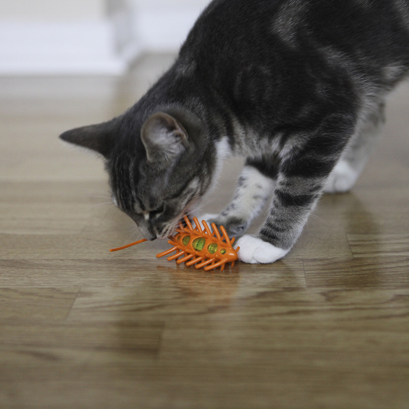 Игрушка для кошек интерактивная MotoMouse