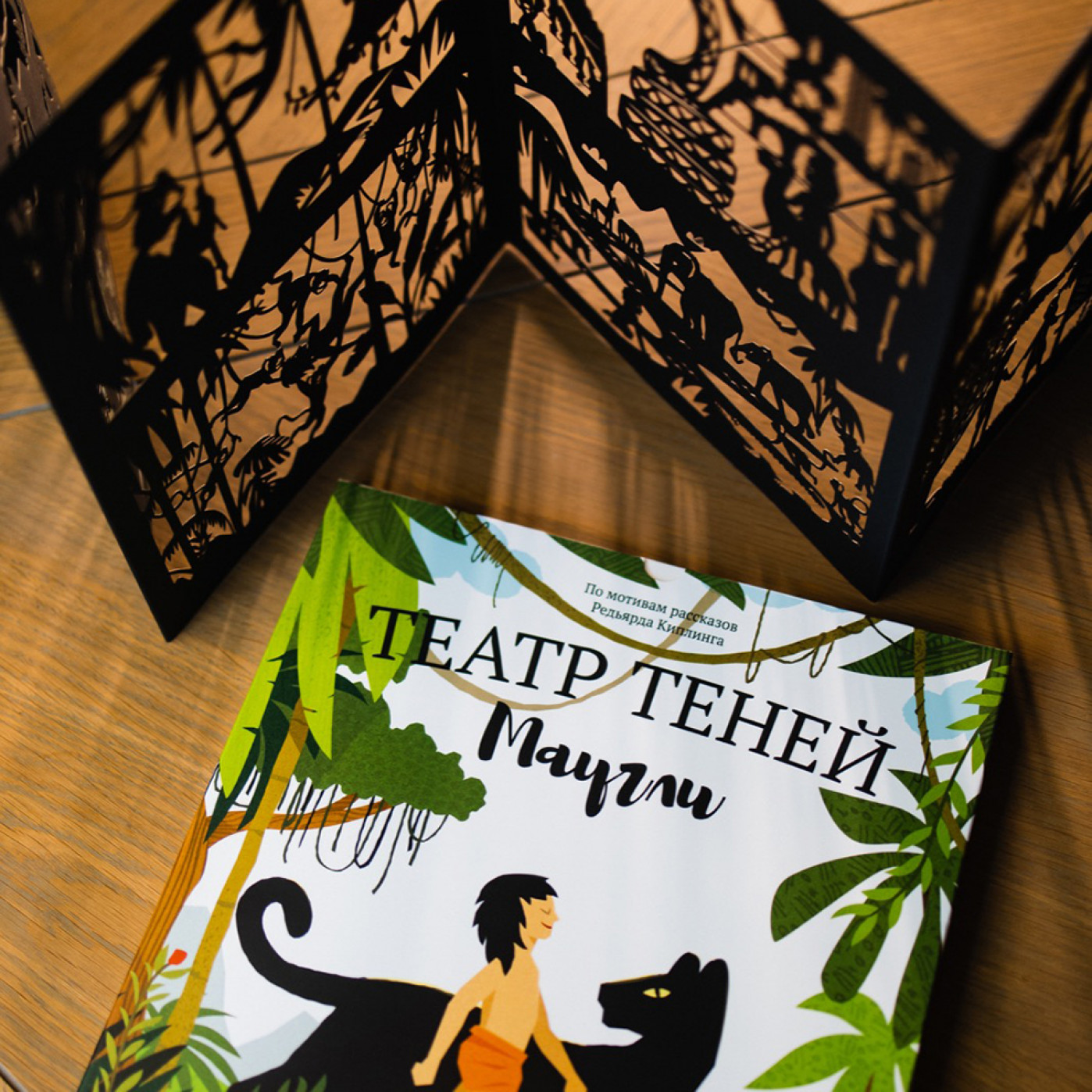 Книга Театр Теней Маугли