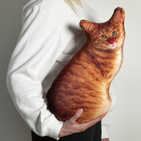 Подушка-антистресс Кот Наташи Рыжий запасливый-2