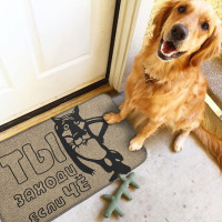 Коврик придверный Ты заходи, если че-2