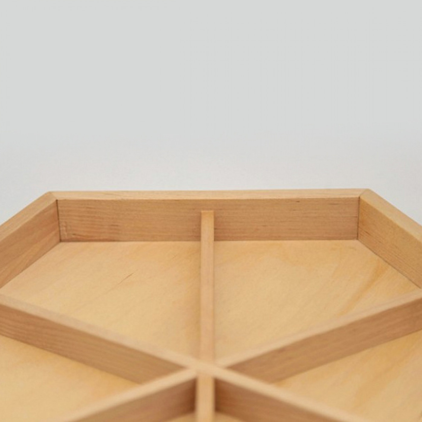 Универсальный секционный Эко контейнер Akwood 30 см.