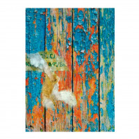 Обложка на паспорт Тамада баянист-2