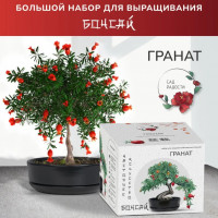 Большой набор для выращивания бонсай Гранат