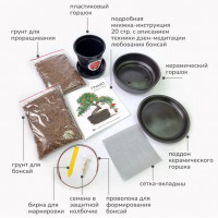 Большой набор для выращивания бонсай Гранат-2