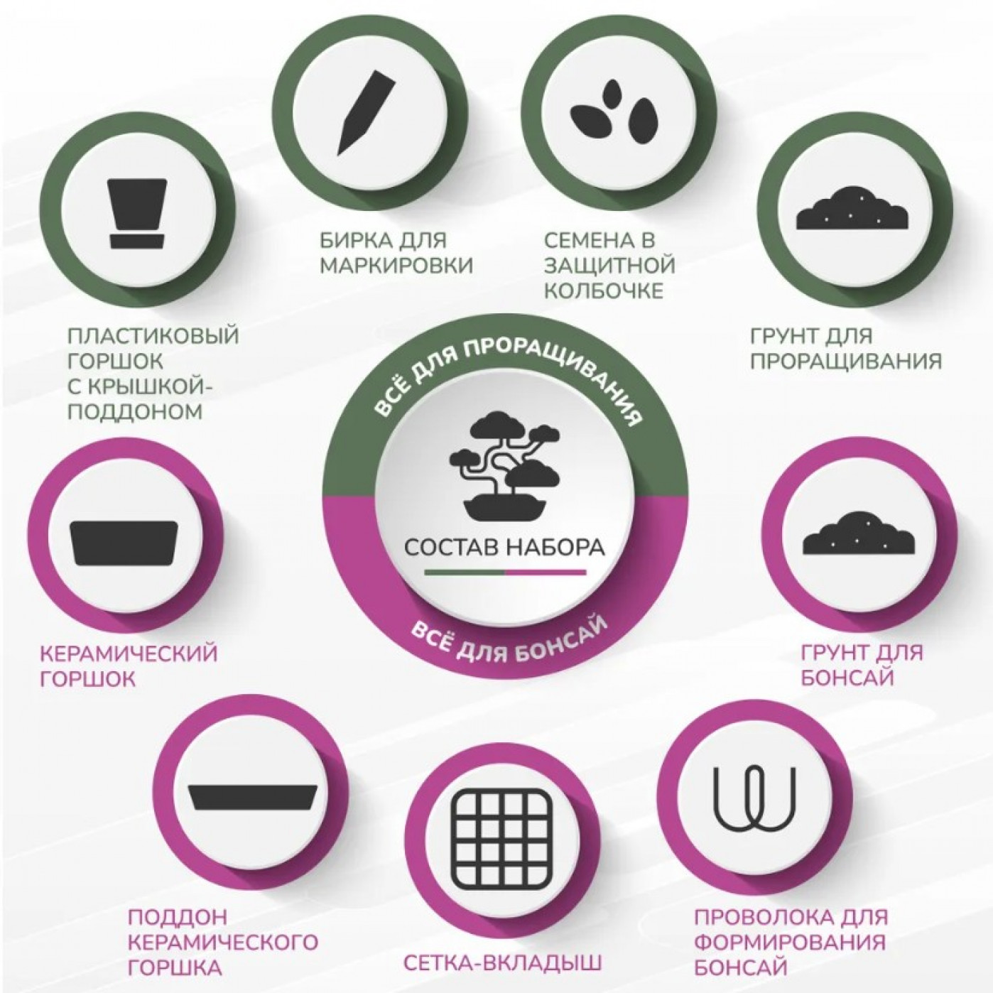 Большой набор для выращивания бонсай Гранат