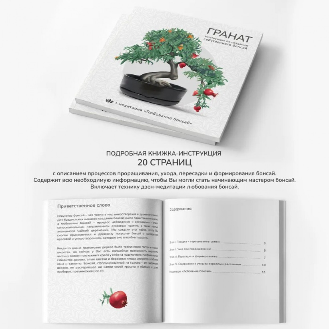 Большой набор для выращивания бонсай Гранат