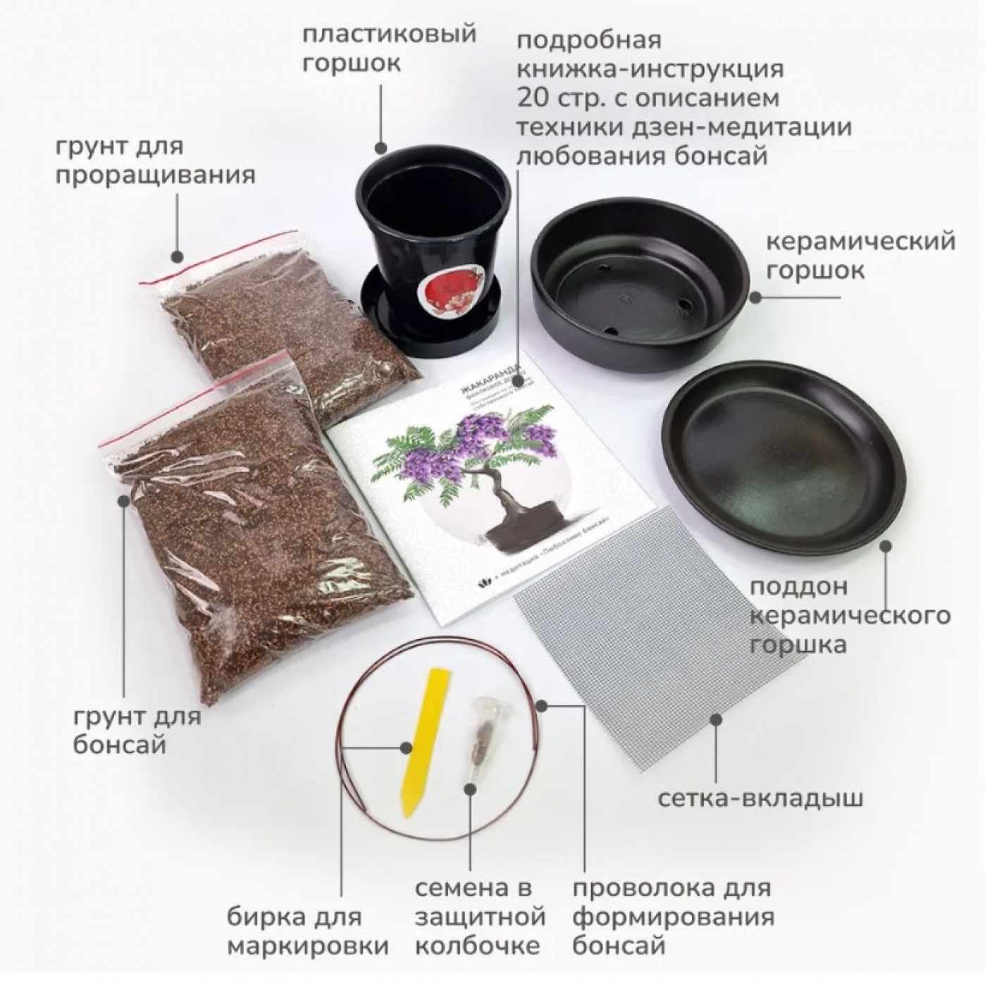 Большой набор для выращивания бонсай Жакаранда фиалковое дерево
