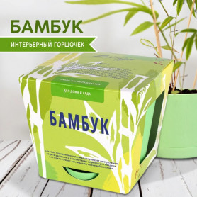 Набор для выращивания растений Тысяча листьев Бамбук