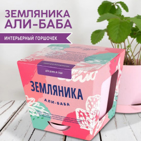 Набор для выращивания растений Тысяча листьев Земляника Али-Баба