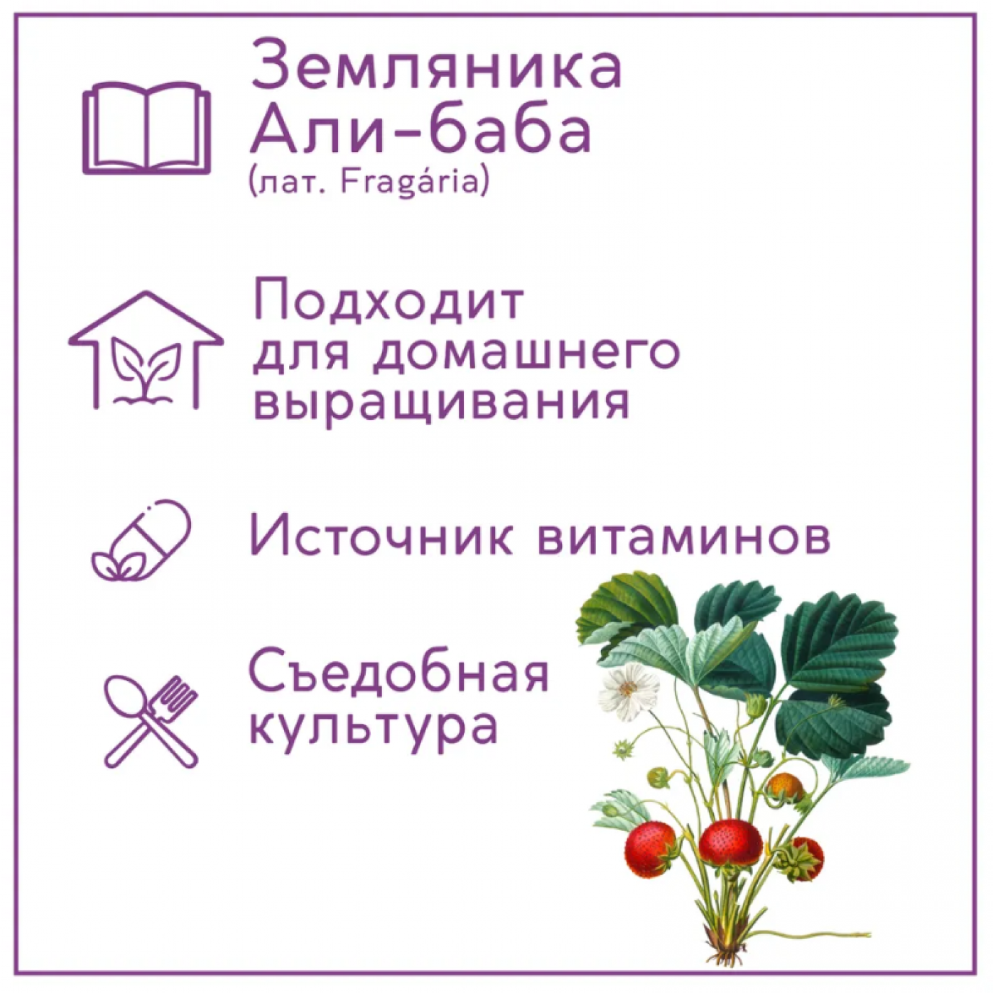 Набор для выращивания растений Тысяча листьев Земляника Али-Баба