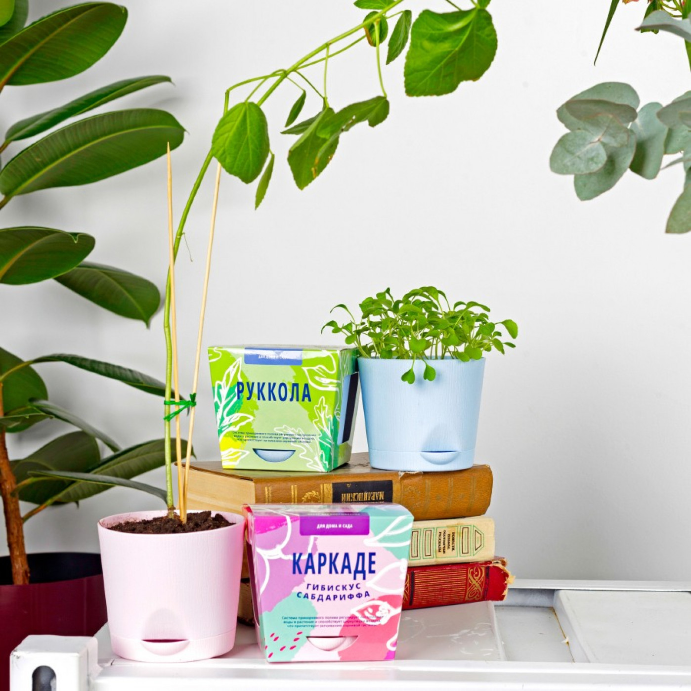 Набор для выращивания растений Тысяча листьев Каркаде