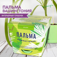 Набор для выращивания растений Тысяча листьев Пальма Вашингтония