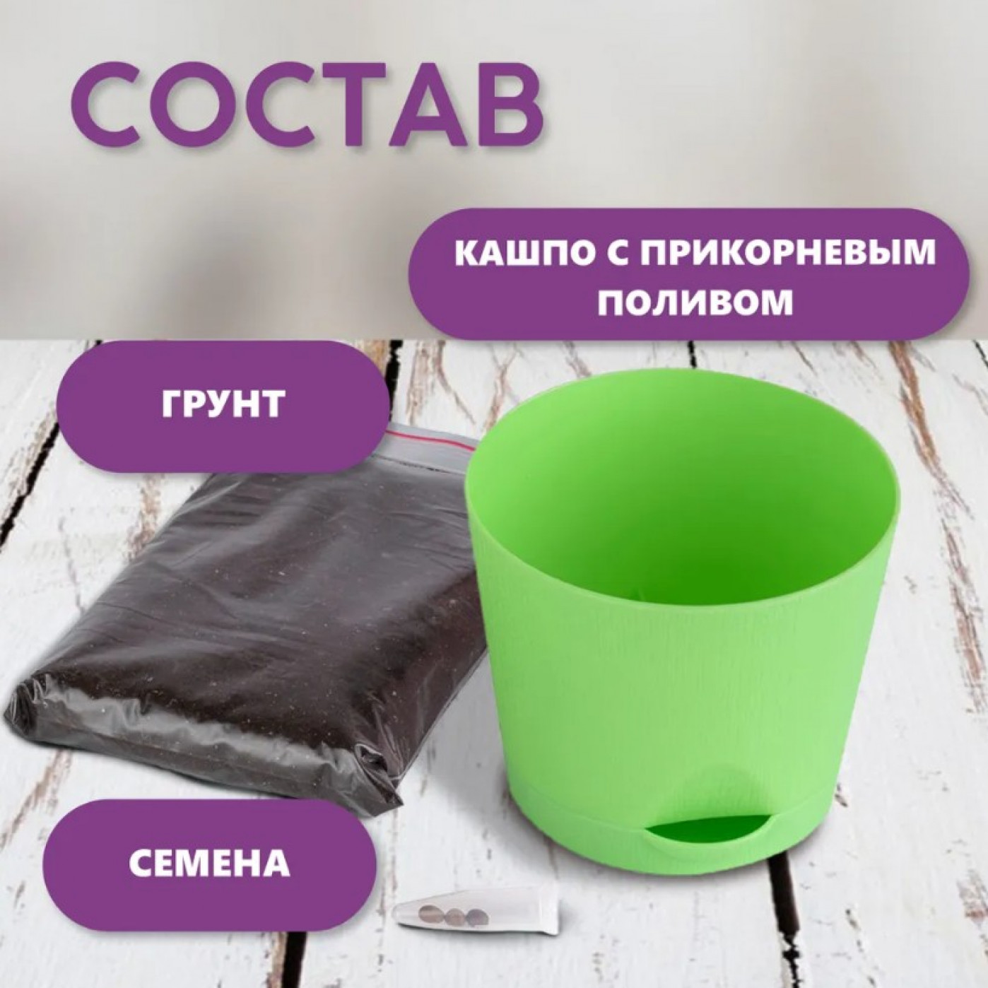 Набор для выращивания растений Тысяча листьев Пальма Вашингтония