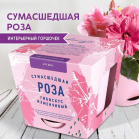 Набор для выращивания растений Тысяча листьев Сумасшедшая роза