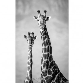Картина на холсте Жирафы 70 х 110 см.-2