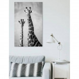 Картина на холсте Жирафы 70 х 110 см.