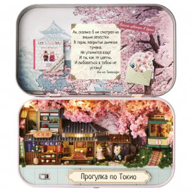 Румбокс Прогулка по Токио