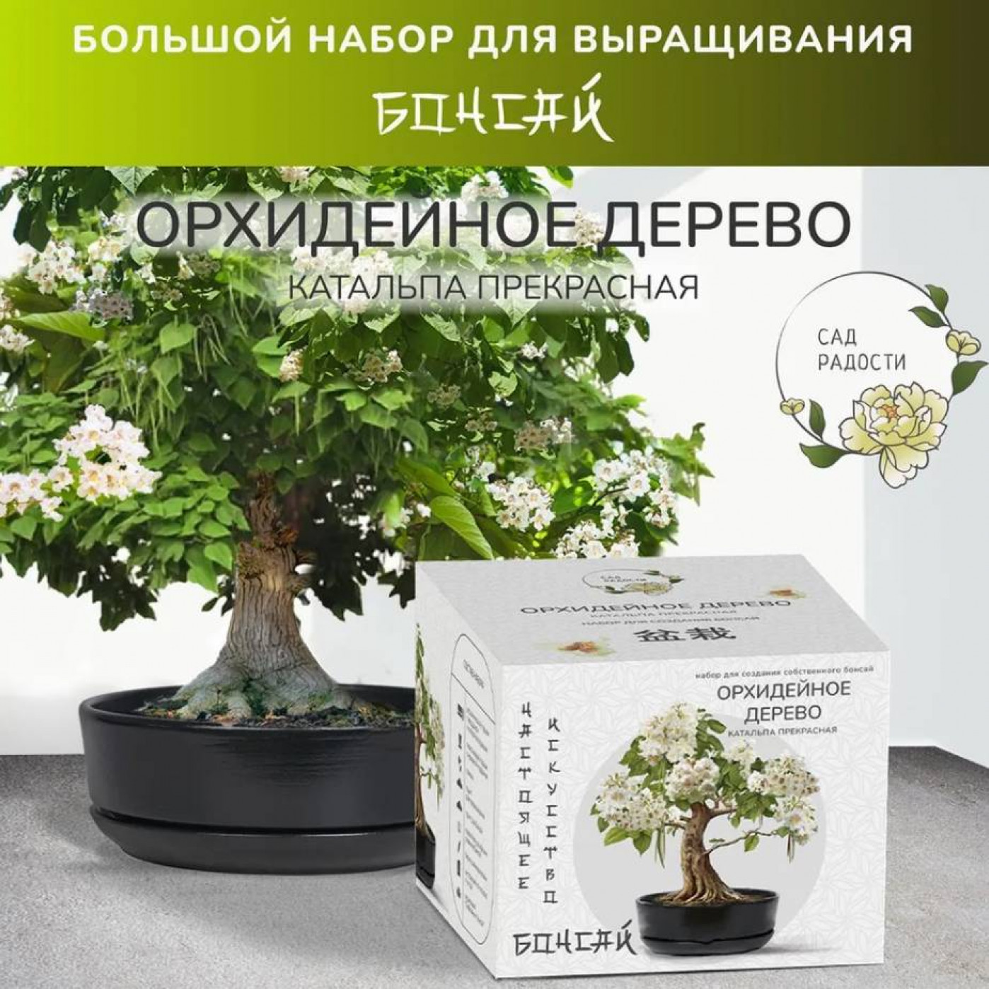Большой набор для выращивания бонсай Катальпа орхидейное дерево купить в интернет-магазине, подарки по низким ценам