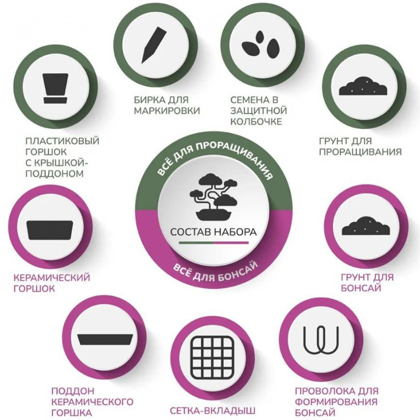 Большой набор для выращивания бонсай Катальпа орхидейное дерево