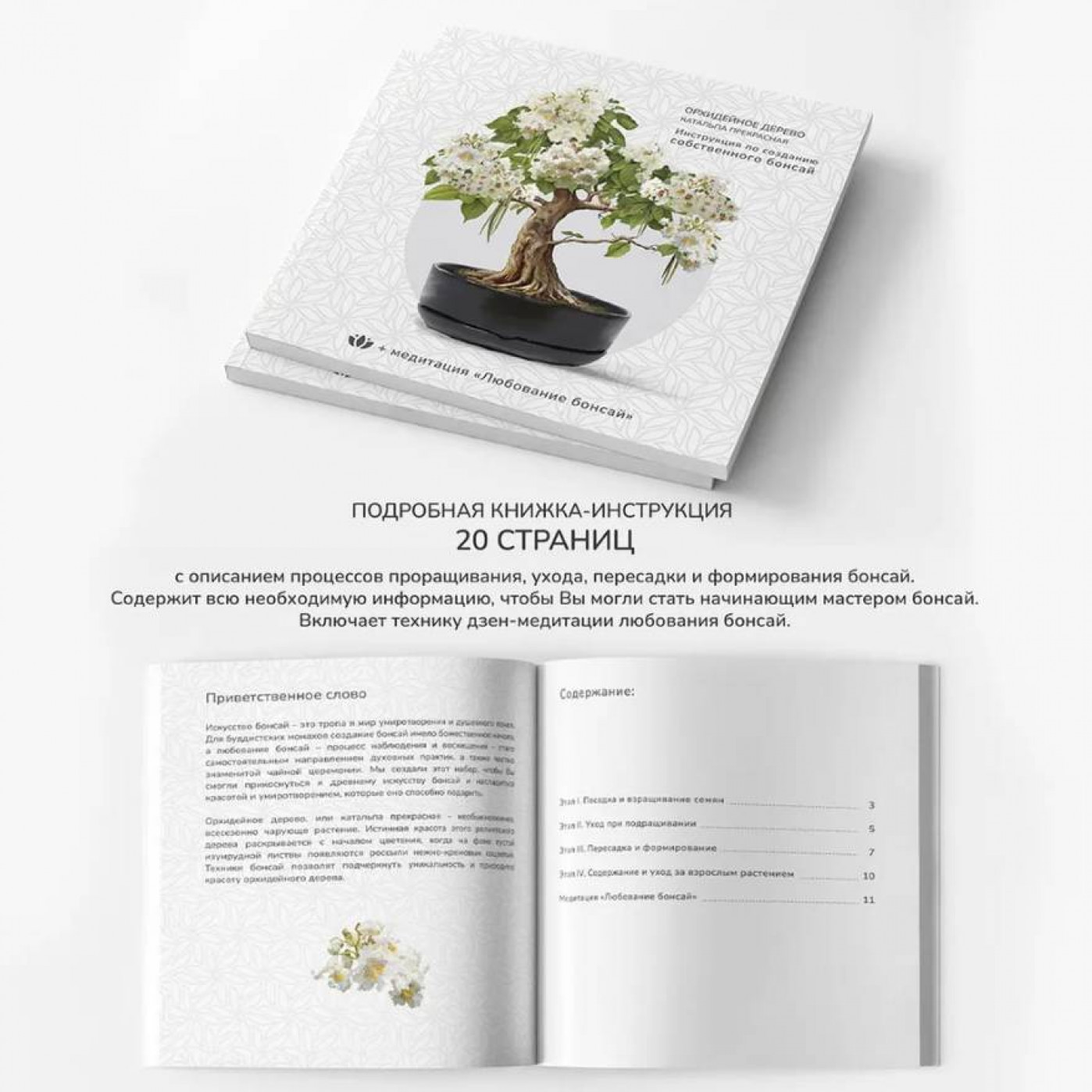 Большой набор для выращивания бонсай Катальпа орхидейное дерево