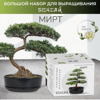Большой набор для выращивания бонсай Мирт