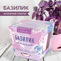 Набор для выращивания растений Тысяча листьев Базилик фиолетовый